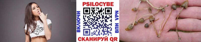 Галлюциногенные грибы прущие грибы  hydra зеркало  Пролетарск 
