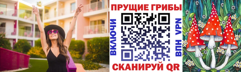 Псилоцибиновые грибы прущие грибы Пролетарск